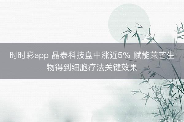 时时彩app 晶泰科技盘中涨近5% 赋能莱芒生物得到细胞疗法关键效果