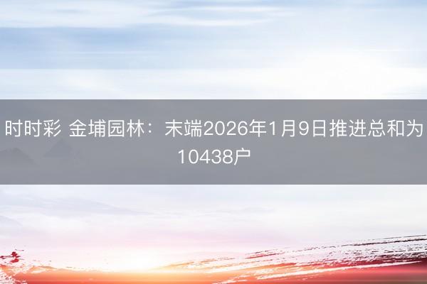 时时彩 金埔园林:末端2026年1月9日推进总和为10438户