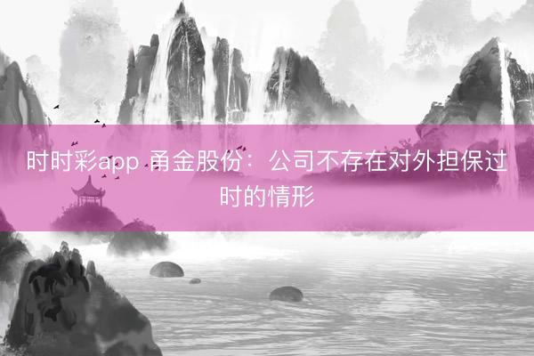 时时彩app 甬金股份:公司不存在对外担保过时的情形