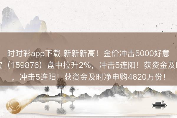 时时彩app下载 新新新高！金价冲击5000好意思元，有色ETF华宝（159876）盘中拉升2%，冲击5连阳！获资金及时净申购4620万份！