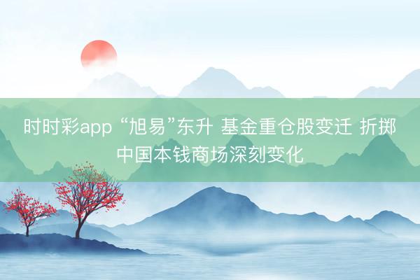 时时彩app “旭易”东升 基金重仓股变迁 折掷中国本钱商场深刻变化