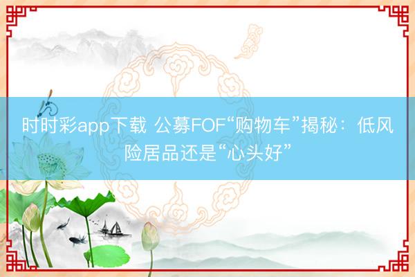 时时彩app下载 公募FOF“购物车”揭秘：低风险居品还是“心头好”
