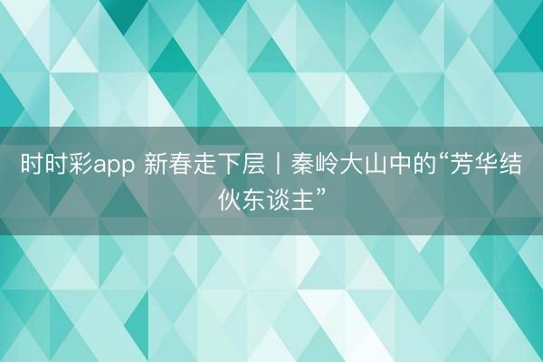 时时彩app 新春走下层丨秦岭大山中的“芳华结伙东谈主”