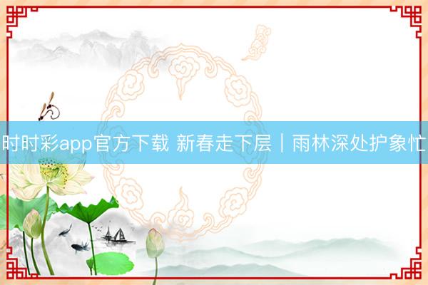 时时彩app官方下载 新春走下层｜雨林深处护象忙