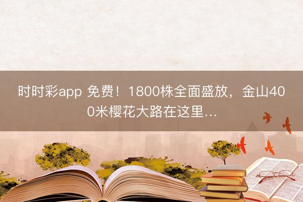 时时彩app 免费！1800株全面盛放，金山400米樱花大路在这里…