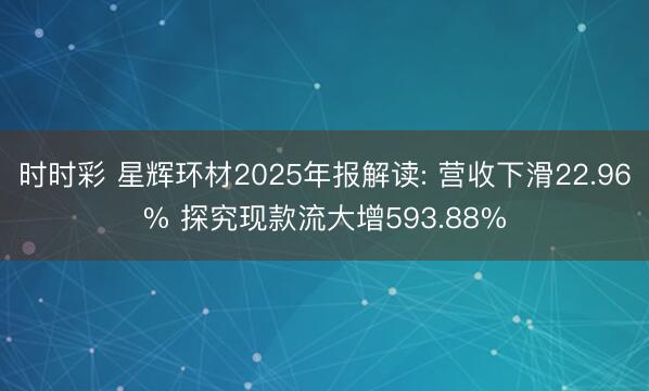 时时彩 星辉环材2025年报解读: 营收下滑22.96% 探究现款流大增593.88%