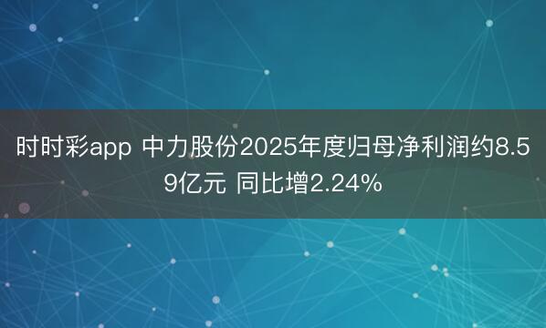时时彩app 中力股份2025年度归母净利润约8.59亿元 同比增2.24%