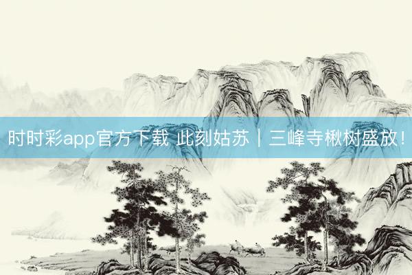 时时彩app官方下载 此刻姑苏｜三峰寺楸树盛放！
